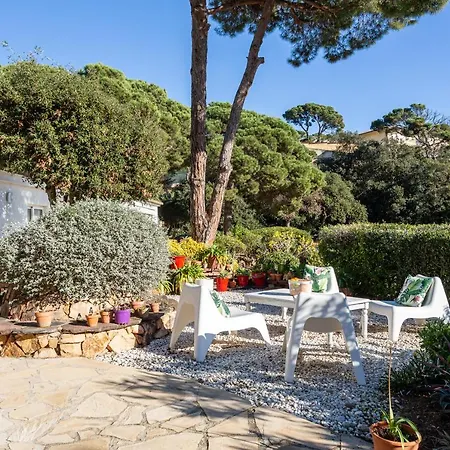 Palmera Villa Tossa de Mar