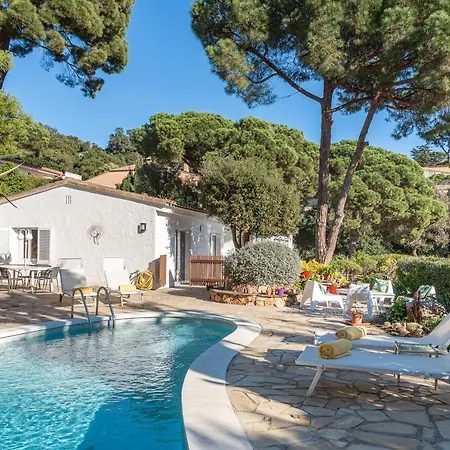 Palmera Villa Tossa de Mar