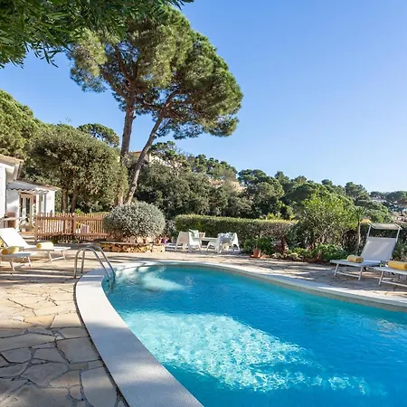 Palmera Villa *