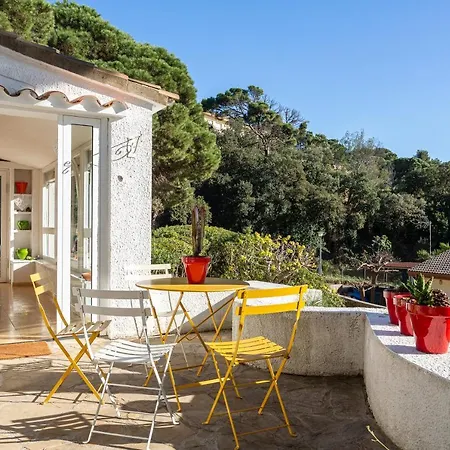 Palmera Villa Tossa de Mar